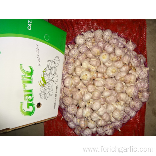 Fresh Normal White Garlic Of Crop 2019